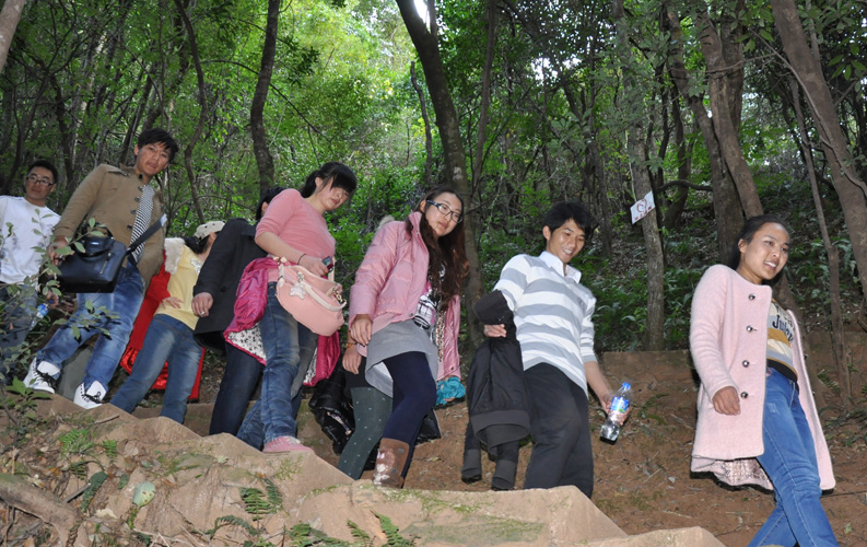 青龍峽位于昆明西郊安寧市青龍鎮(zhèn)滇中生態(tài)大峽谷中，景區(qū)有保存較為完好的植物群落，遮天蔽日的參天古木；有浪漫山花，野果飄香，還有清秀寧靜的田園風(fēng)光。河谷沿岸古柳成蔭，幾十里的云南櫻花大道成為昆明郊游靚麗的風(fēng)景線。景區(qū)中溪水潺潺，千姿百態(tài)、千奇百怪的蔓藤風(fēng)光隨處可見，號稱“都市身旁的小九寨。