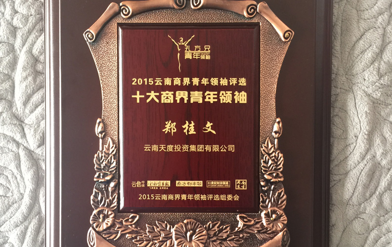 在“互聯(lián)網(wǎng)大時代”的背景下，天度作為本土很大和很有名的互聯(lián)網(wǎng)服務(wù)企業(yè)，為近萬家傳統(tǒng)企業(yè)轉(zhuǎn)型互聯(lián)網(wǎng)+提供了服務(wù)和幫助，獲此獎項后，我們將再接再厲，創(chuàng)造更高的社會價值